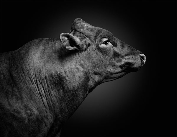 Photograph Jens Edgar Haugen No Bullshit on One Eyeland